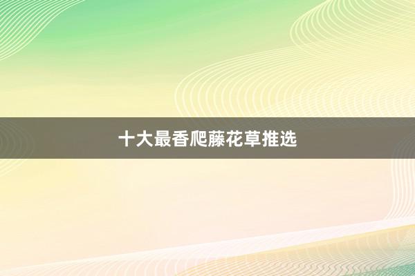 十大最香爬藤花草推选