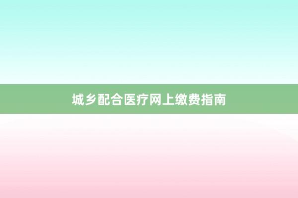 城乡配合医疗网上缴费指南
