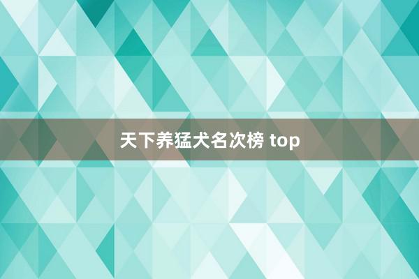 天下养猛犬名次榜 top